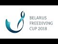 Чемпионат Беларуси по фридайвингу. Минск 2018