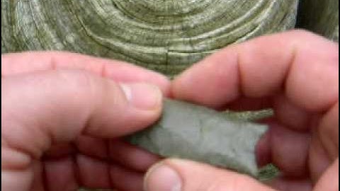 Alabama Fluted Clovis Indian Spear Point from the Tombigbee Drainage