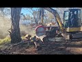 Excavator saw  australian hardwoods