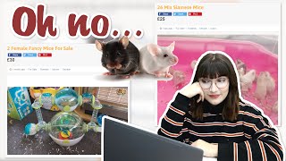 Mouse OWNER reacts to mouse ADS on selling sites