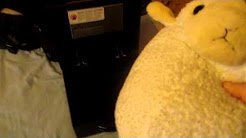 SHORP.MOV 12