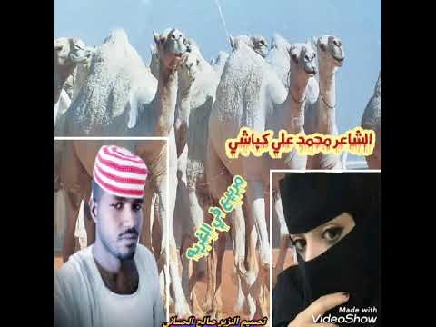 الشاعر محمد علي كباشي مربيع في الغزااال