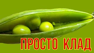 ВИТАМИНАМИ богат, а белкИ в нём просто КЛАД, он полезен от артроза и от атеросклероза