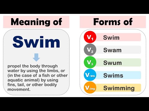 Swim Past Tense, V1 V2 V3 V4 V5 Form Of Swim, Past Participle Of Swim and Example Sentences