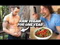 One year raw vegan what i learned