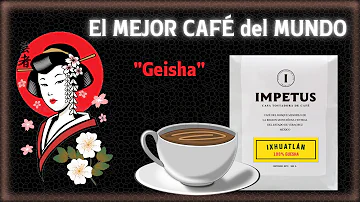 ¿Cuál es el café con mejor sabor del mundo?