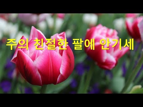 경배와 찬양 : 주의 친절한 팔에 안기세 (찬송가 405장, 통일찬송가 458)
