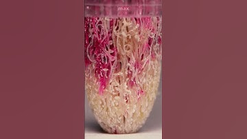 How to active a brand new outline marker? #maxzoom  #macro #satisfying #amsr #closeup