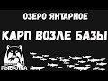 Карп неподалеку от базы. Меняем пейзаж. Озеро янтарное. Русская рыбалка 4.