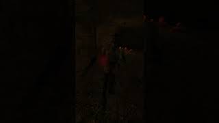 She started it #Morrowind