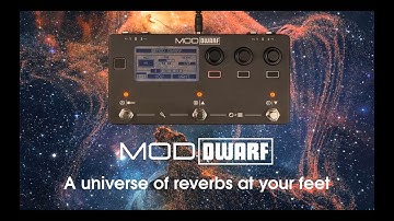 A Universe of Reverbs at Your Feet