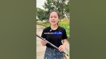 Cần đài BEST Săn Hàng phá vỡ mọi thử thách câu cá  #cauca #docauca  #câucá #shorts #ytshorts #fyp