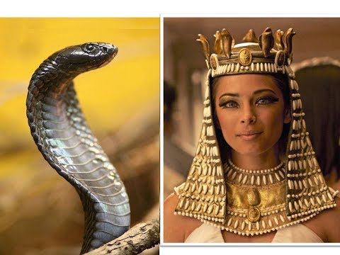 Vídeo: Cobras Aladas Nos Afrescos Do Egito - Visão Alternativa
