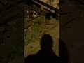 Jerzyk pod moim domem