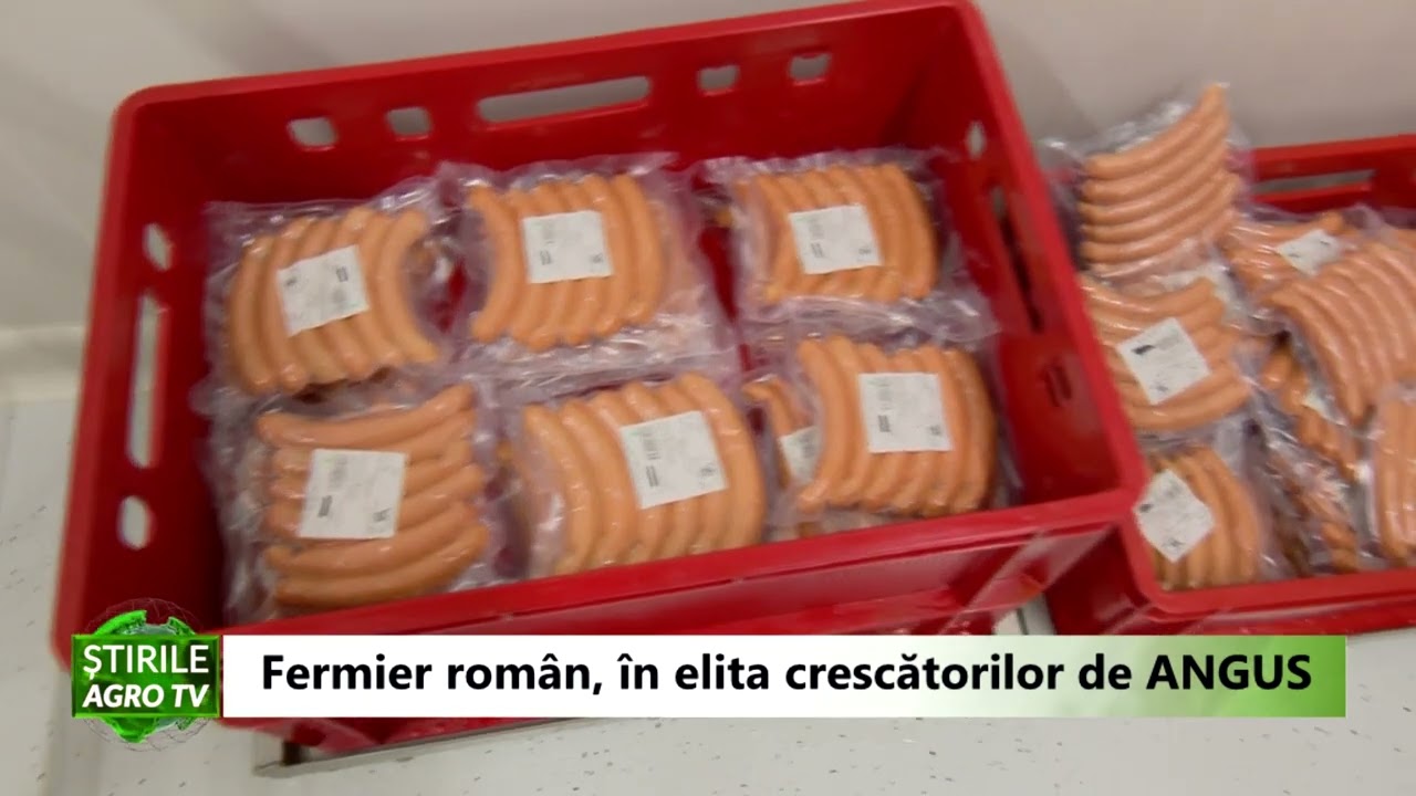 O fermă de ELITĂ! Cum a ajuns un fermier român în topul crescătorilor de Angus din lume 1 O fermă de ELITĂ! Cum a ajuns un fermier român în topul crescătorilor de Angus din lume YouTube player