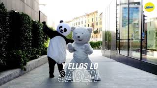 Alikal Activa El New Normal