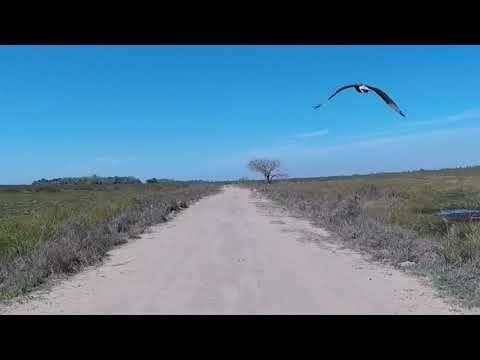 Acceso al Portal San Nicolás (Esteros del Iberá)