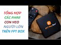 Xem phim 18 trn fpt play box ti sao khng  ch 1590k