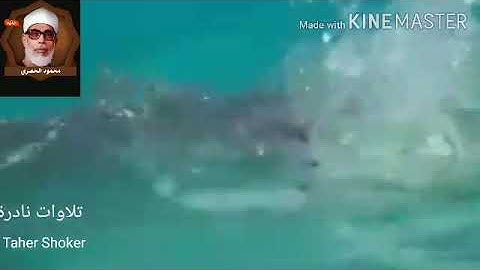 الحصرى تلاوات نادرة.نوح.(وَقَالَ نُوحٌ رَّبِّ لَا تَذَرْ عَلَى الْأَرْضِ مِنَ الْكَافِرِينَ دَيَّارً