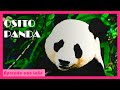 Osito panda