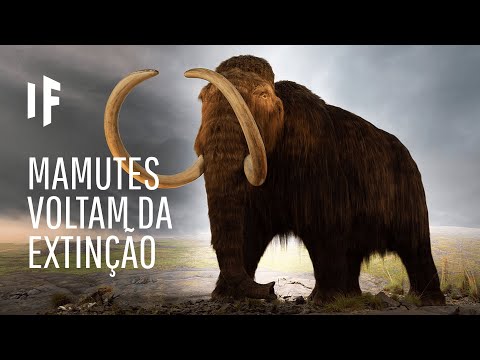 Vídeo: O falso historiador Karamzin. Parte 1