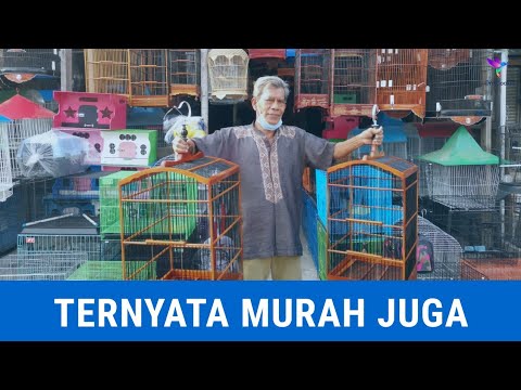 Video: Cara Memilih Sangkar Untuk Burung Nuri