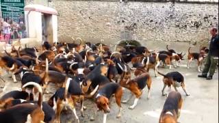 Chenil cheverny 2014 screenshot 5