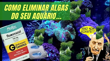 Como usar Fluconazol em aquário marinho?