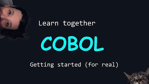 starting cobol for real this time