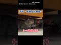 【合作無間】貓奴從小養成？ 寶寶、貓貓合作「偷吃」｜小孩｜貓咪｜搞笑