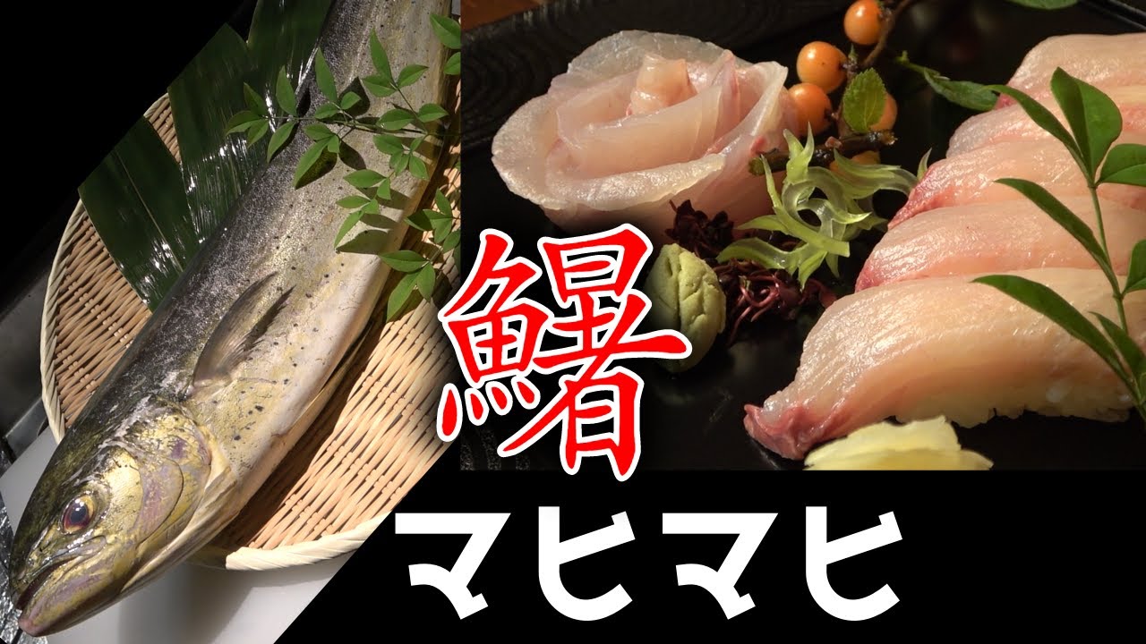 寿司職人によるシイラ マヒマヒ のお寿司とお刺身の作り方 Making Of Mahimahi Sushi Youtube