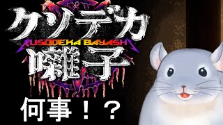 【クソデカ囃子(ばやし) | Kusodeka Bayashi】なにが起こっているのかわからないがテンションアゲアゲで進む着ぐるみチンチラ。/Fade【新人Vtuber】