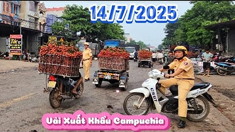 BẤT NGỜ GIÁ VẢI CUỐI VỤ NGÃ BA CẦU CHÉT VẪN ĐÔNG VÀ VẢI XUẤT CAMPUCHIA I