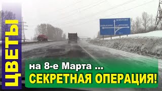 Секретная операция. Главное, чтобы жена не узнала!