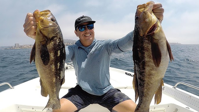 Fishing Calico Bass with Coastal Charters in Southern California – Tackle  Warehouse VLOG #465 