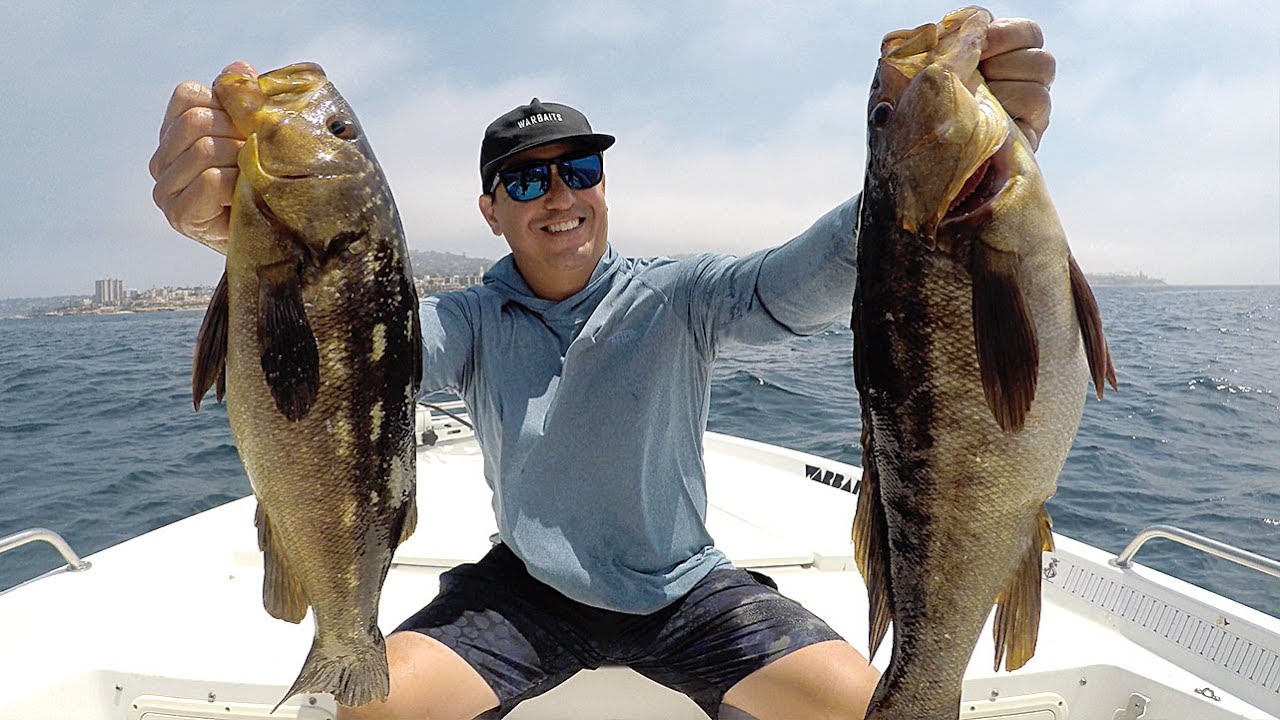 DOUBLE RIG is Incredible! Calico Bass Fishing San Diego, CA YouTube