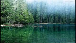 The Impressive Nature And Its Various Forms Chapter 1
