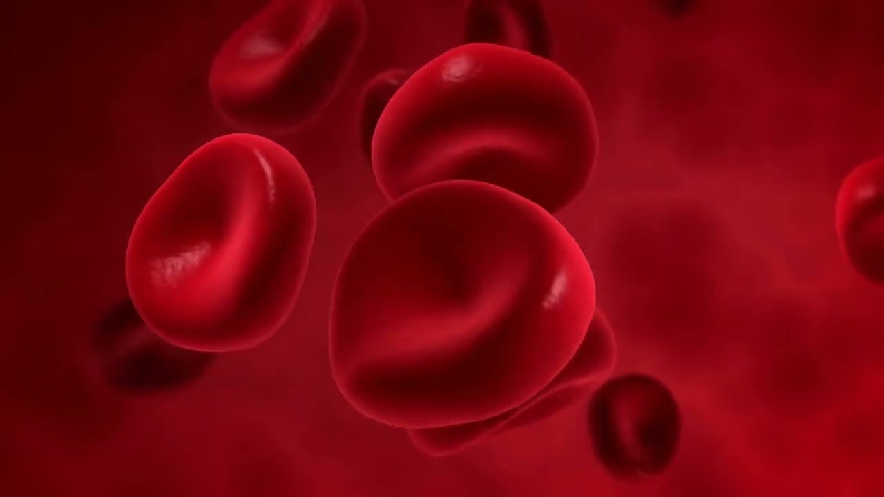 Smart Health 268 Pulse Oximeter