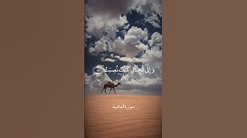 أفلا ينظرون إلى الإبل كيف خلقت - سورة الغاشية | القارئ الشيخ عبدالباسط عبدالصمد رحمه الله