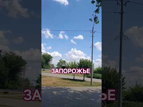 Отдых в Запорожье: лучшие достопримечательности и развлечения