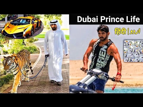 Dubai Prince Shaikh Hamdan Lifestyle|दुबई प्रिंस शेख हमदान लाइफस्टाइल Urdu|Hindi | tubefacts