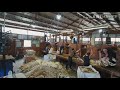 Sheep Shearing out Glenbrae Station 2019