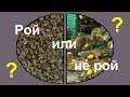 Роение пчел и медосбор