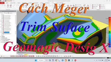 Bài Học 03 - Cách Dựng Auto Suface Cực Hay | Thứ Tự Meger và Trim Sufcae Trên Geomagic Desig X