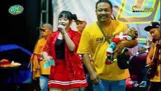 Hanya Ingin Kau Tahu Icha Kiswara BM MUSIC live Peterongan