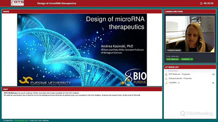 Design of microRNA therapeutics