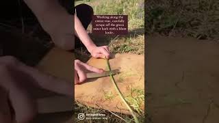 Brambleblackberry Cordage