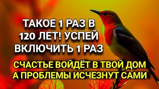 картинка: ☝️ УСПЕЙ ВКЛЮЧИТЬ 1раз! СЧАСТЬЕ ВОЙДЁТ В ДОМ, А ПРОБЛЕМЫ ИСЧЕЗНУТ САМИ! Это Чудо 🔊🤲✨🔑💯