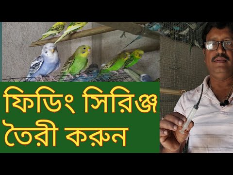 ভিডিও: কীভাবে পাখির ফিডার তৈরি করবেন