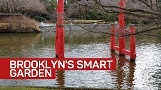 At Brooklyn smart garden, when it rains, it drains